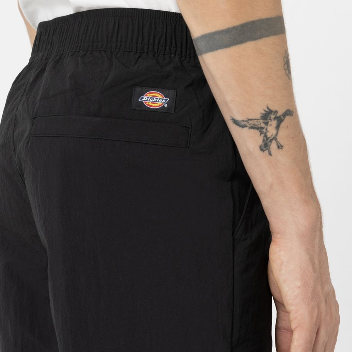 Dickies Pantaloni Cargo Jackson Black - 7