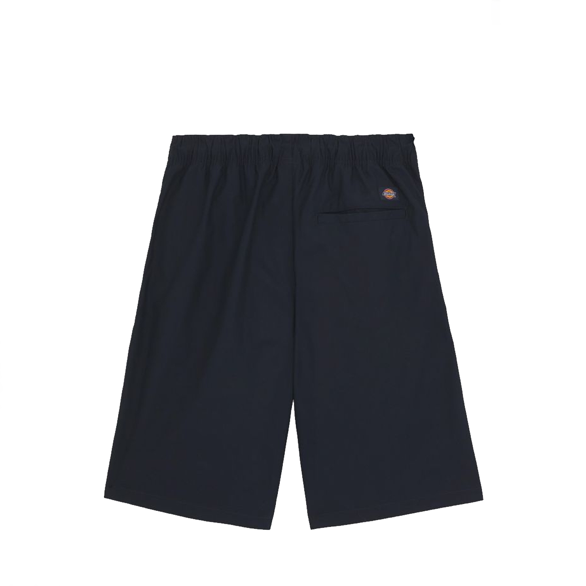 Dickies Shorts Fisherville Cargo Dark Navy - 4