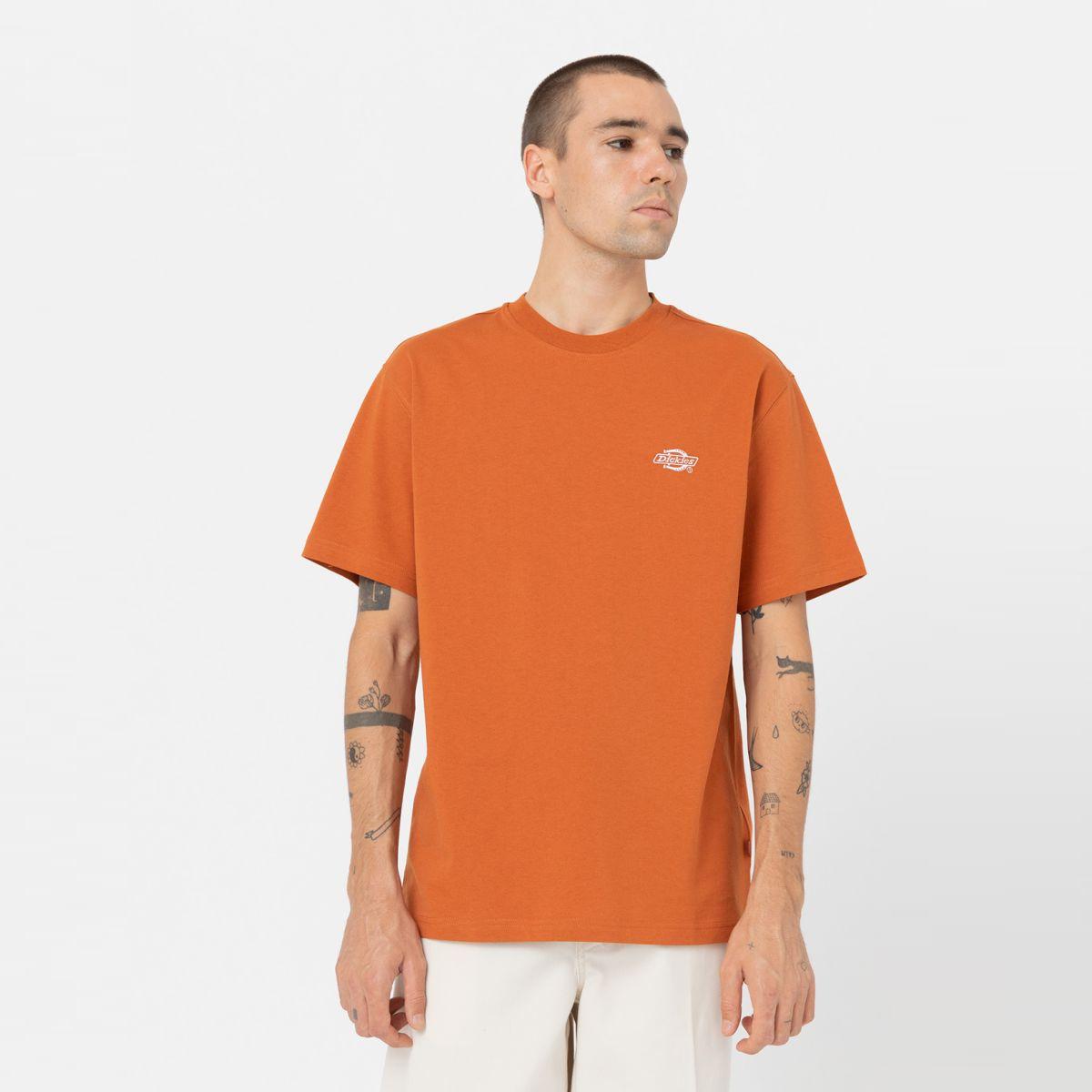 Dickies T-Shirt Summerdale Bombay Brown - 1