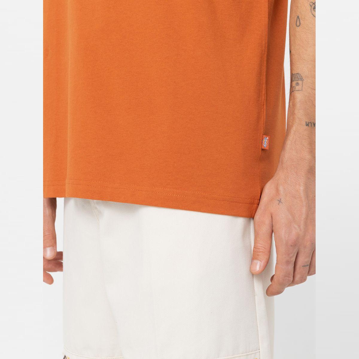 Dickies T-Shirt Summerdale Bombay Brown - 7