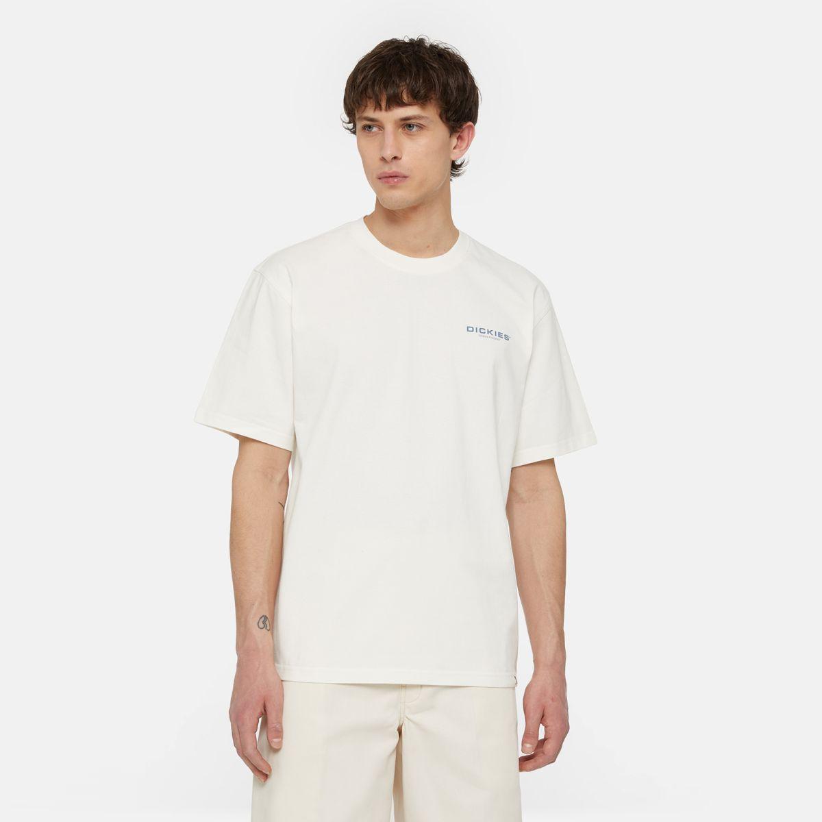 Dickies T-Shirt Wakefield Cloud - 1