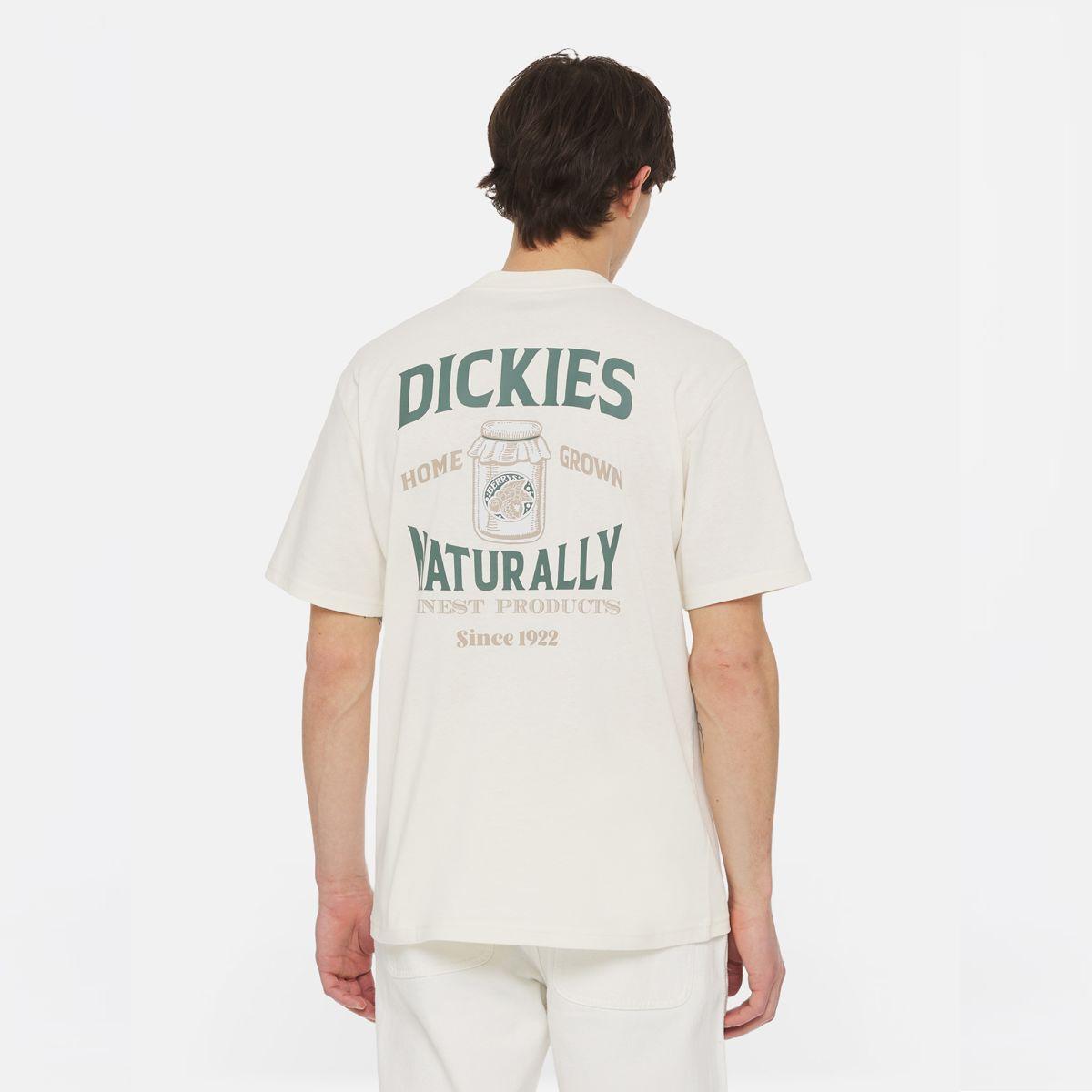 Dickies T-Shirt Elliston Cloud - 4