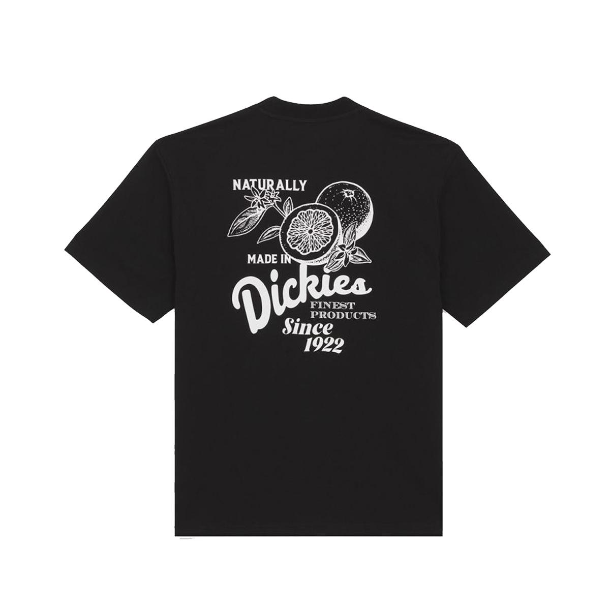 Dickies T-Shirt Raven Black - 2