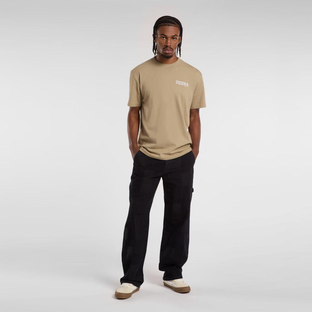 Dickies Pantaloni Carpenter Jacquard Rinsed - 4