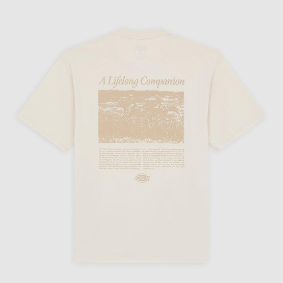 Dickies T-Shirt Companion Script Whitecap Gray - 8