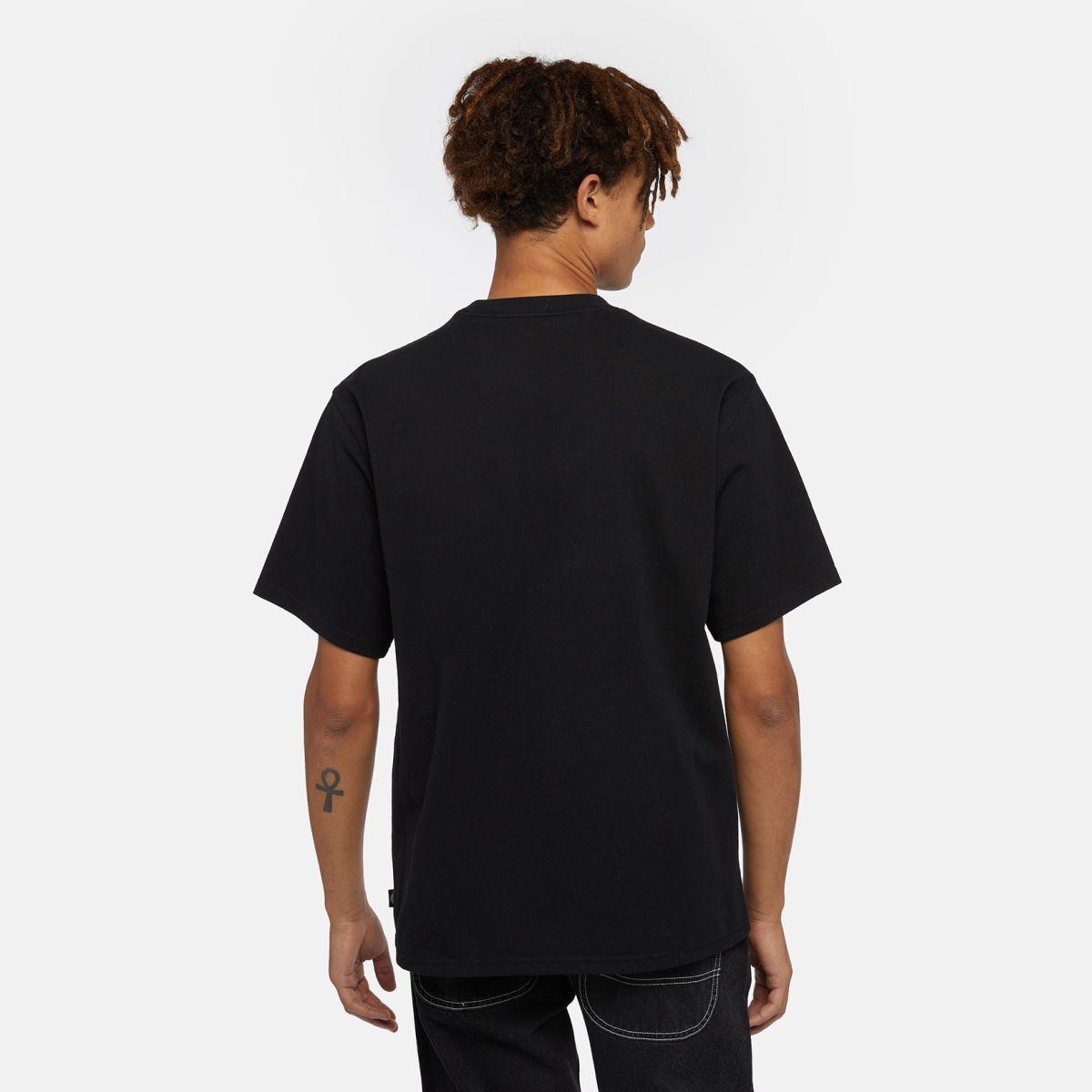Dickies T-Shirt Clancy Heavyweight Black - 4