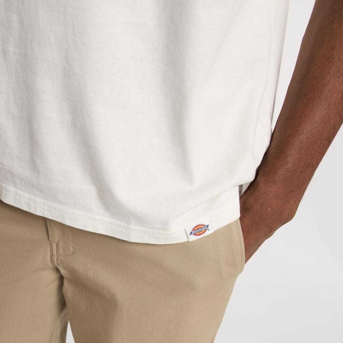 Dickies T-Shirt Flag Egret - 7