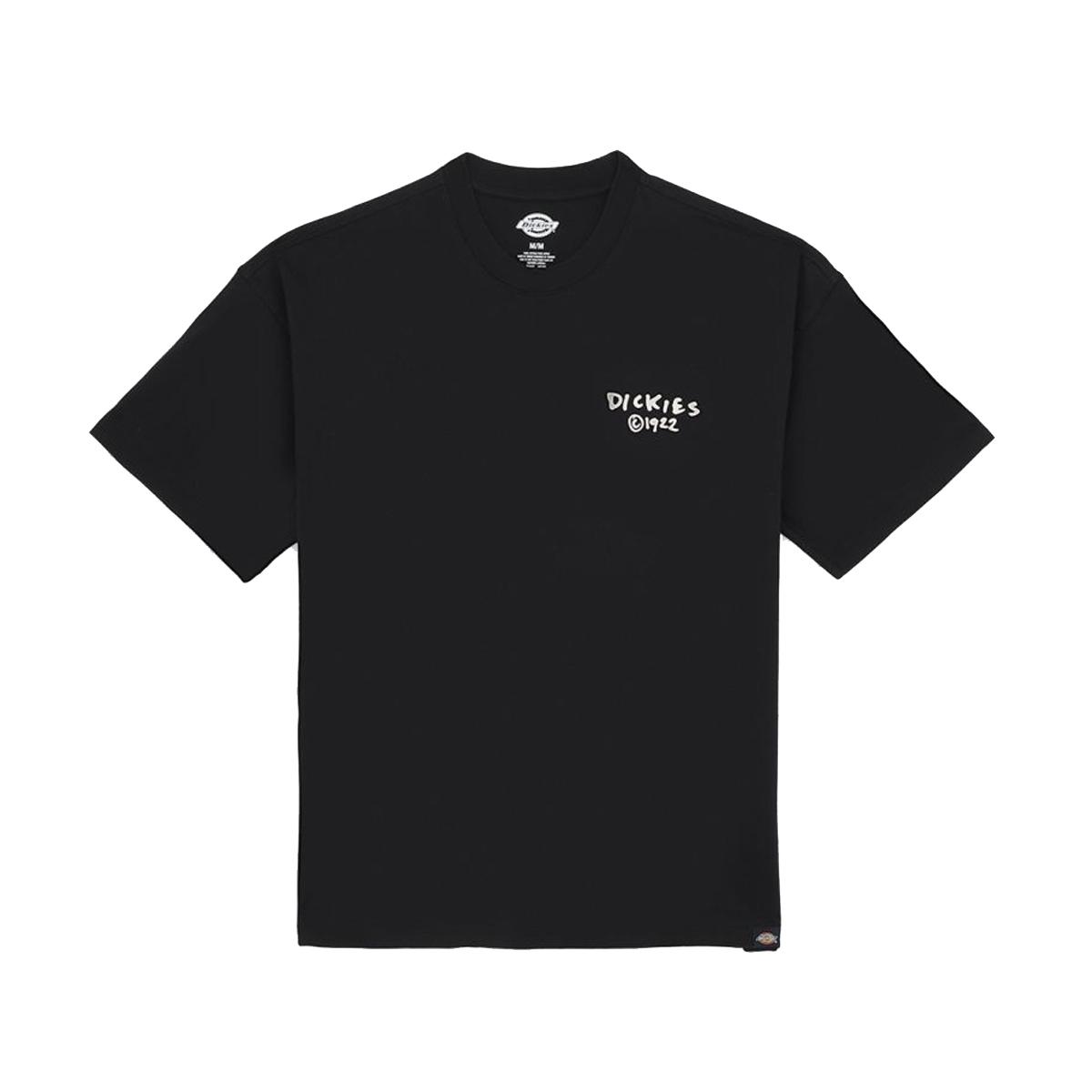 Dickies T-Shirt Sneedville Black - 1