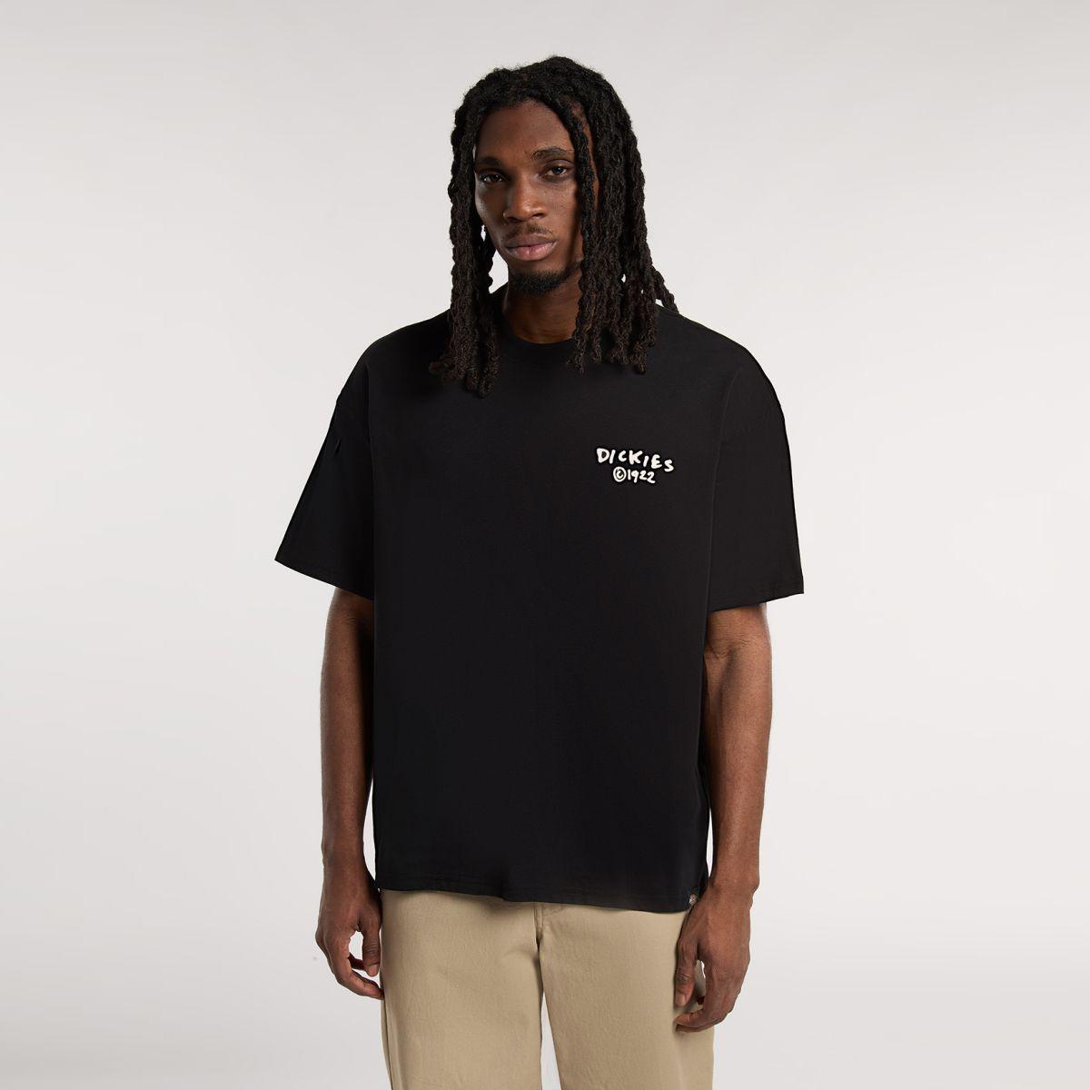 Dickies T-Shirt Sneedville Black - 3