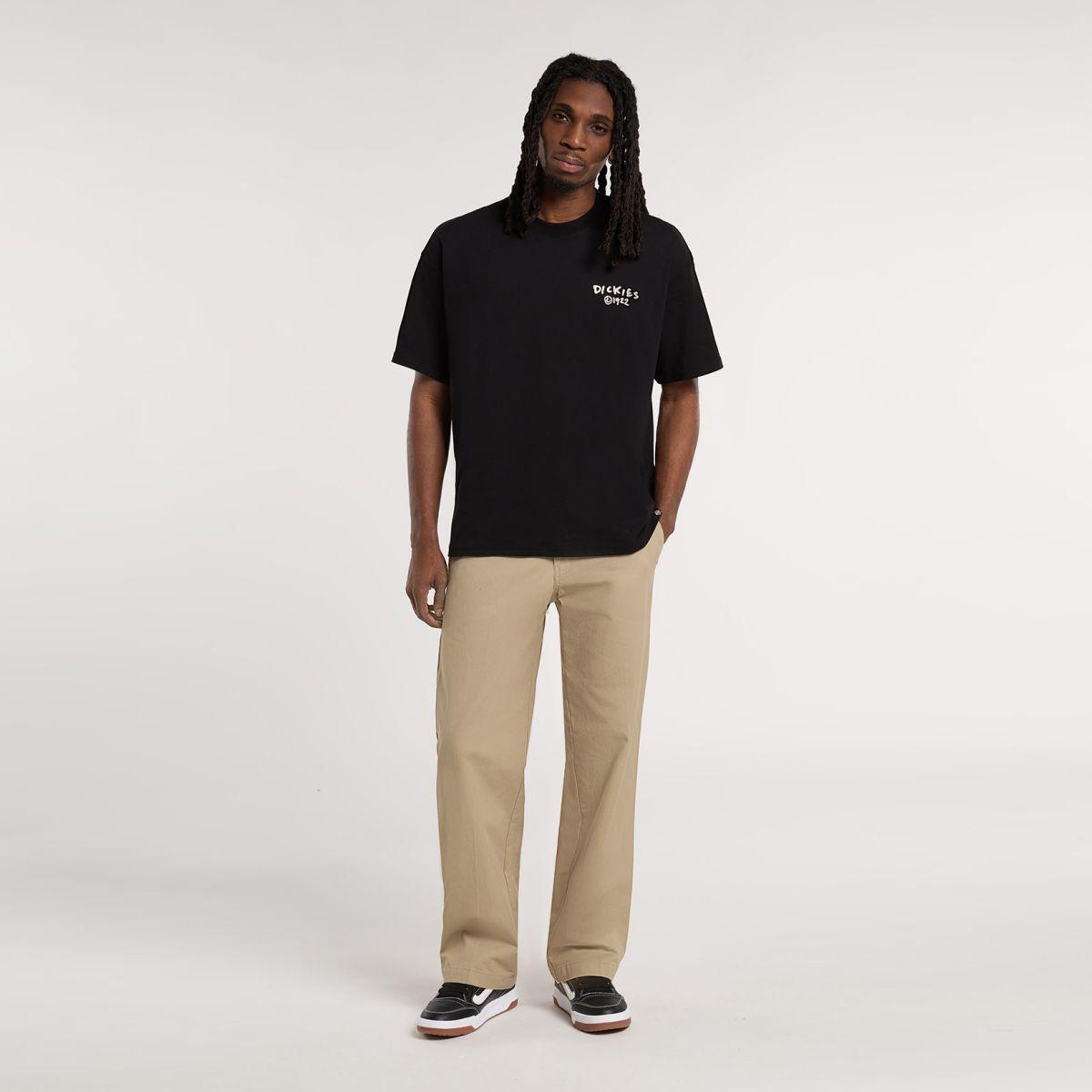 Dickies T-Shirt Sneedville Black - 5