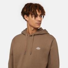 Felpa con cappuccio Summerdale Hoodie Mashroom