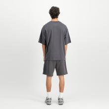 Alpha Industries T-Shirt Studio Edition Vintage Grey - 3