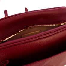 Coccinelle Campus Small Ribes Crossbody Bag - 4