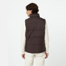 Dickies Gilet Waldenburg Java - 2