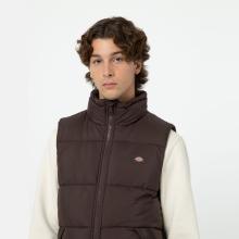 Dickies Gilet Waldenburg Java - 6