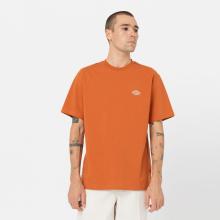 Dickies T-Shirt Summerdale Bombay Brown - 1