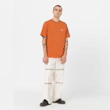 Dickies T-Shirt Summerdale Bombay Brown - 5