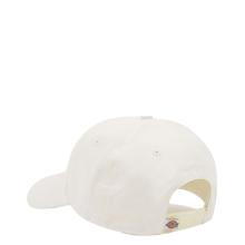 Dickies Cappello Hardwick Nuvola - 2