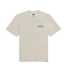 Dickies T-Shirt Elliston Cloud - 1