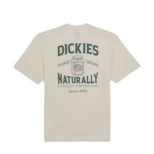 Dickies T-Shirt Elliston Cloud - 2