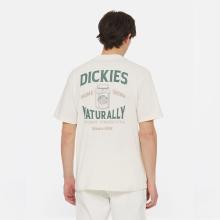 Dickies T-Shirt Elliston Cloud - 4