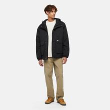 Dickies Giacca Plains Black - 2