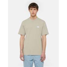 Dickies T-Shirt Summerdale Sandstone - 2