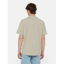 Dickies T-Shirt Summerdale Sandstone - 3
