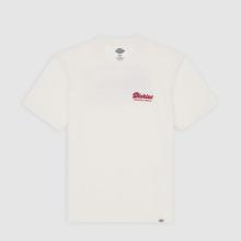 Dickies T-Shirt Lewistown Egret - 1