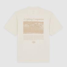 Dickies T-Shirt Companion Script Whitecap Gray - 8