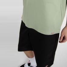 Dickies T-Shirt Dickies Snake Iceberg Green - 6