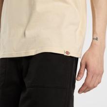 Dickies T-Shirt Apison Wood Ash - 6
