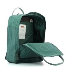 Backpack Kånken-FROST/GREEN-UN
