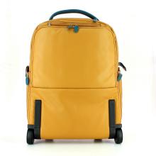 Trolley Coleos-GI-UN