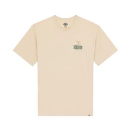 Dickies T-Shirt Apison Wood Ash - 1