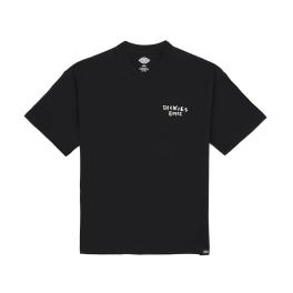Dickies T-Shirt Sneedville Black - 1